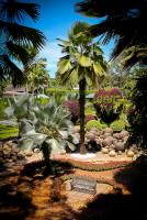 post-228826-0-69994100-1419134145_thumb.