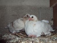 post-32351-0-13898400-1419420307_thumb.j