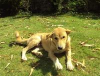 post-32351-0-23385200-1419420196_thumb.j