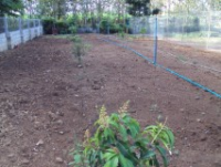 post-32351-0-67663800-1418635610_thumb.p