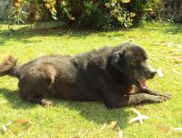 post-32351-0-89521800-1419419962_thumb.j