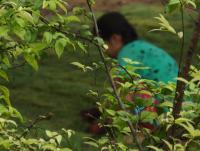 post-32351-0-89929200-1417529159_thumb.j