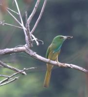 post-59731-0-64949100-1417525553_thumb.j