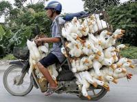 post-63954-0-43060400-1418314784_thumb.j