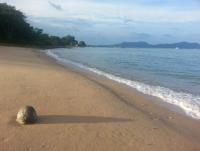 post-6522-0-50746100-1417757667_thumb.jp