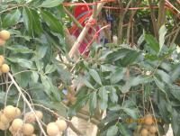 post-87221-0-25818300-1418026456_thumb.j