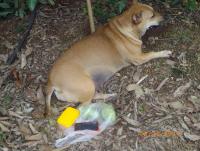 post-87221-0-26035800-1418026485_thumb.j