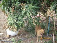 post-87221-0-27251200-1418026431_thumb.j