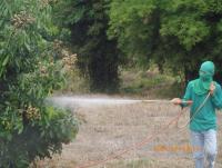 post-87221-0-49558600-1418026642_thumb.j