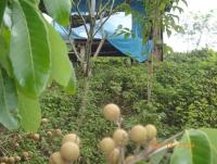 post-87221-0-52153800-1418026530_thumb.j