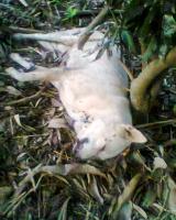 post-87221-0-61781900-1418025420_thumb.j