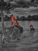 post-93078-0-07489300-1418394727_thumb.j