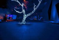 post-93078-0-10238800-1418752579_thumb.j