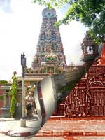 post-93078-0-24152100-1418444899_thumb.j