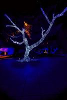 post-93078-0-45023800-1418753213_thumb.j