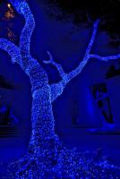 post-93078-0-50727500-1418753254_thumb.j