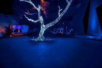 post-93078-0-75002100-1418753236_thumb.j