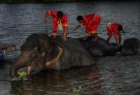 post-93078-0-88247500-1418394824_thumb.j