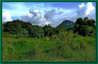 post-9958-0-47727900-1417916964_thumb.jp