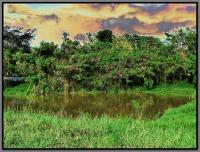 post-9958-0-96373200-1417916981_thumb.jp