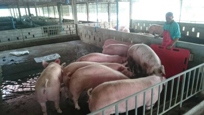 post-110173-0-59306000-1450960962_thumb.