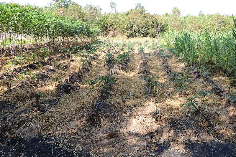 post-147638-0-93125900-1451043561_thumb.