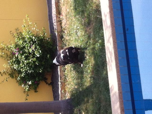 post-160354-0-33486500-1451201654_thumb.