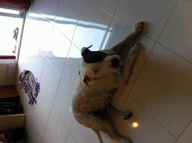 post-160354-0-56649100-1451225061_thumb.