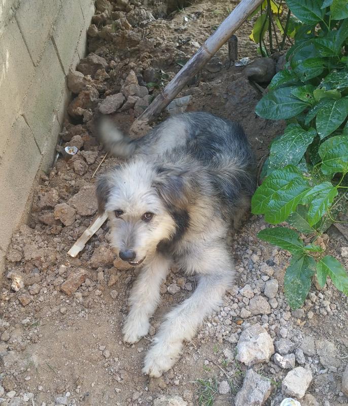 post-170833-0-46178900-1449998890_thumb.