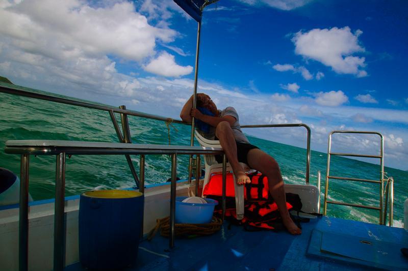 post-228573-0-49225000-1449148133_thumb.