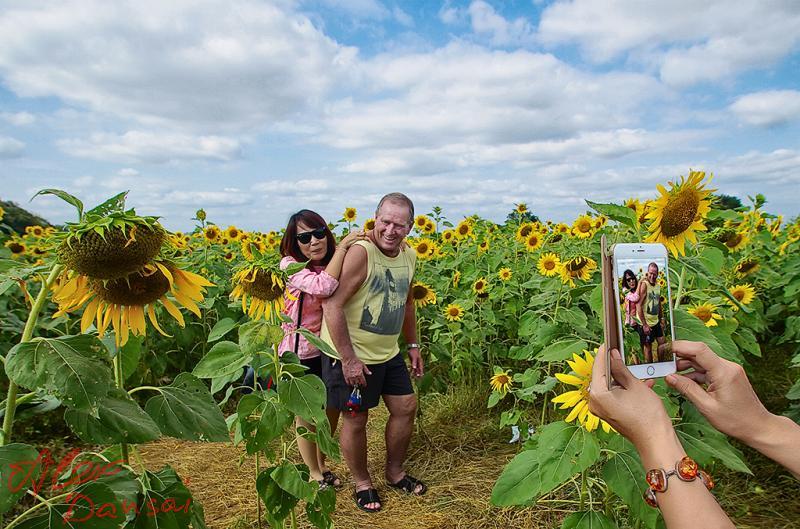 post-228573-0-52047600-1449582542_thumb.