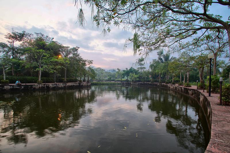 post-228573-0-58365400-1451375150_thumb.