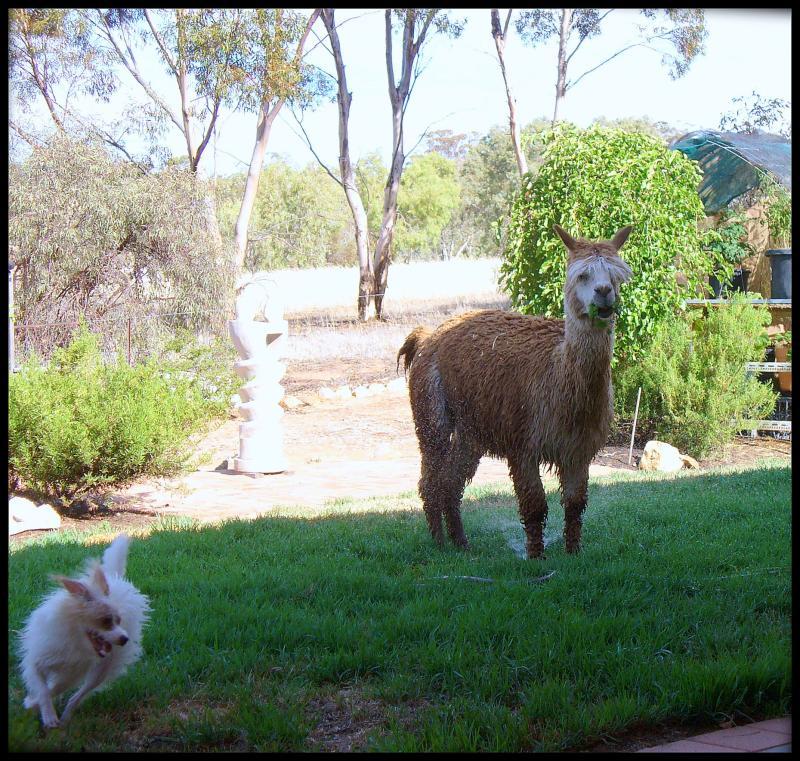 post-231841-0-04569600-1450173636_thumb.