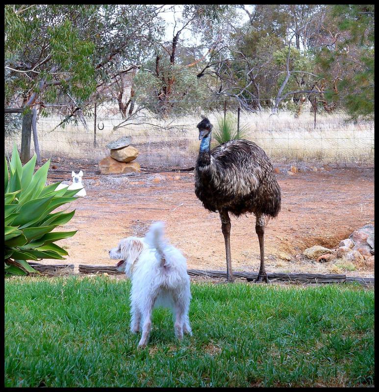 post-231841-0-06553900-1450173604_thumb.