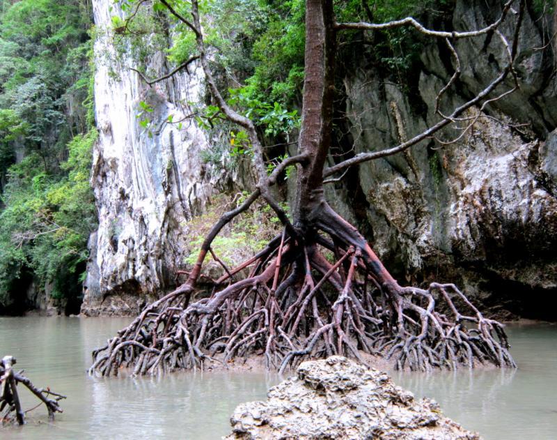 post-231841-0-12673500-1448951969_thumb.