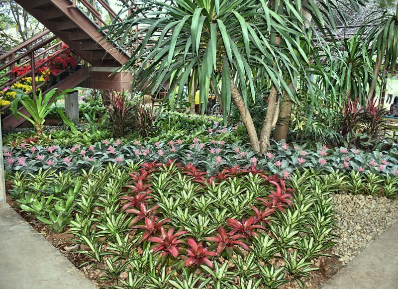 post-237730-0-03062900-1449460495_thumb.