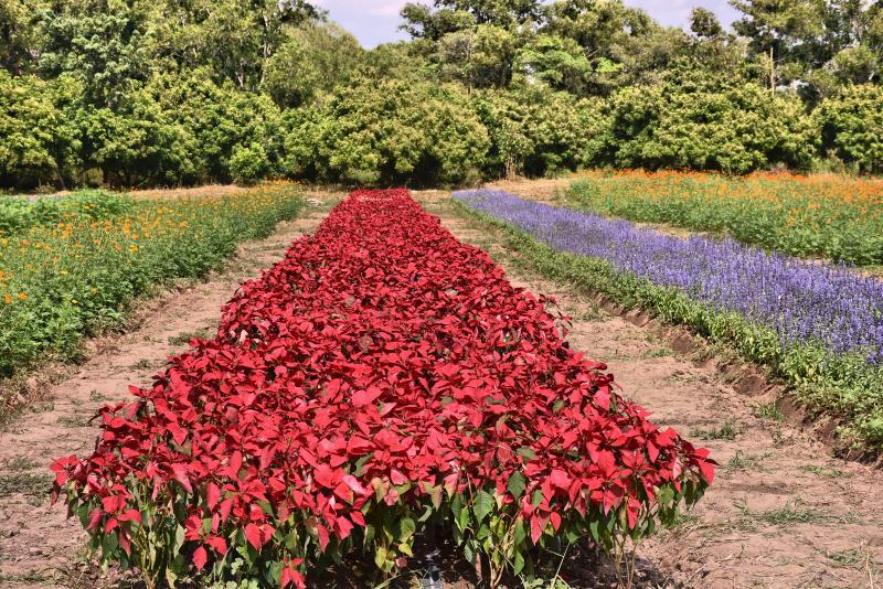 post-237730-0-09183000-1449381250_thumb.