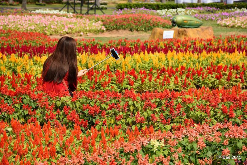 post-237730-0-11498100-1450412521_thumb.