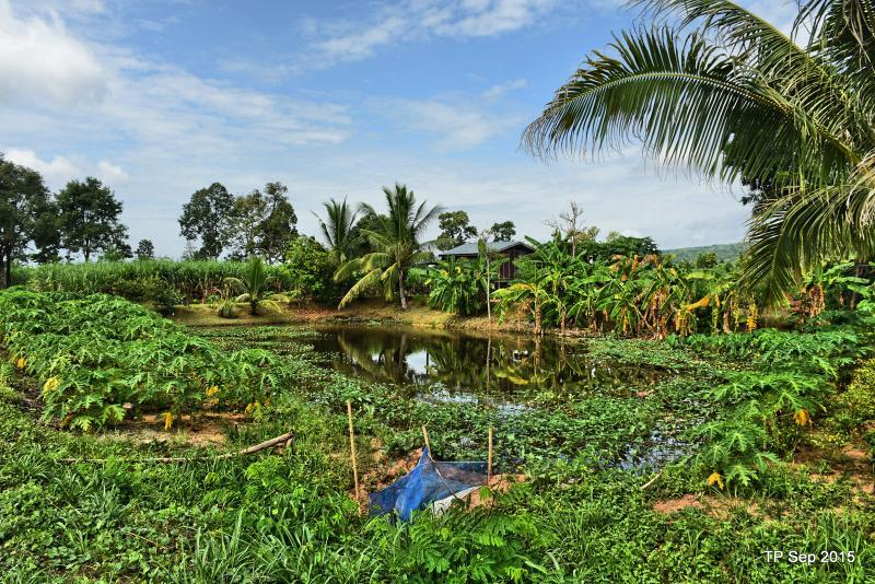 post-237730-0-14076400-1450498677_thumb.