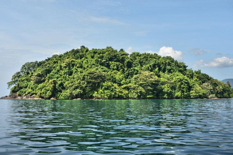 post-237730-0-14328700-1449028457_thumb.