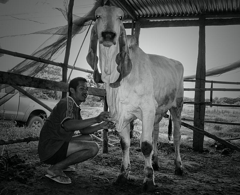 post-237730-0-14384200-1449021379_thumb.