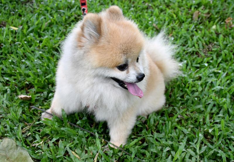 post-237730-0-16544500-1449378107_thumb.