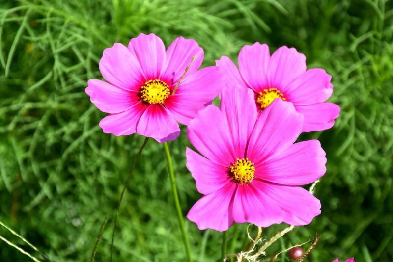 post-237730-0-27542100-1449574630_thumb.