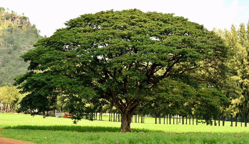 post-237730-0-36974200-1449366079_thumb.