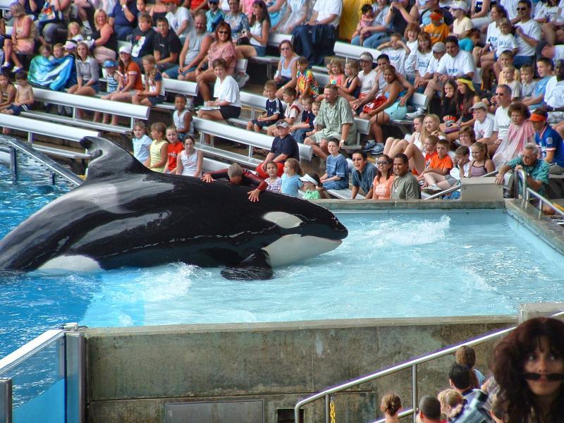 post-237730-0-47795300-1449571838_thumb.