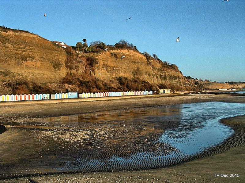 post-237730-0-60751200-1450257442_thumb.