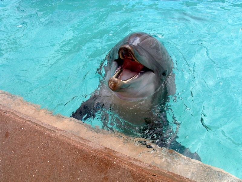 post-237730-0-72841100-1449571820_thumb.