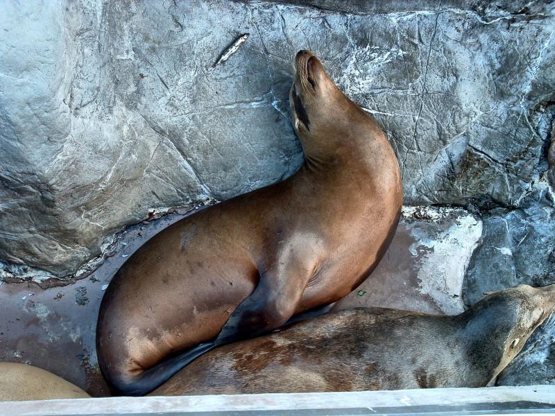 post-237730-0-73865700-1449571857_thumb.