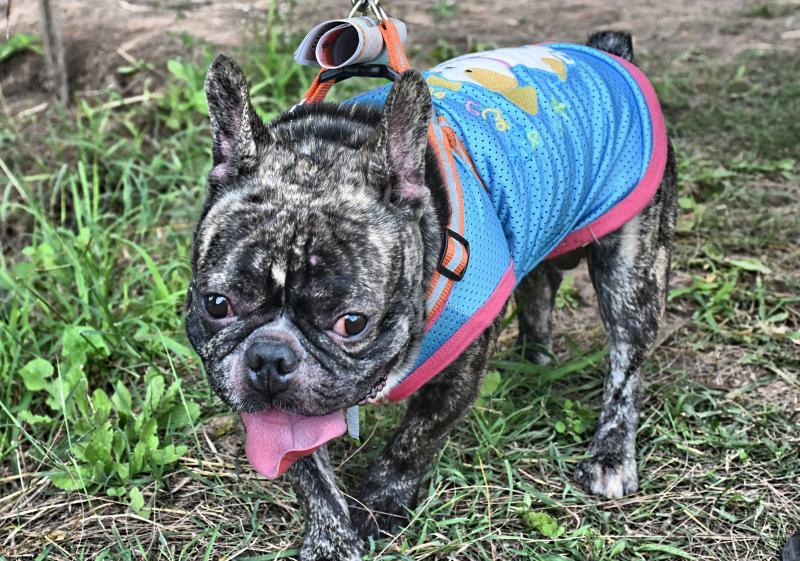 post-237730-0-81625600-1449834822_thumb.