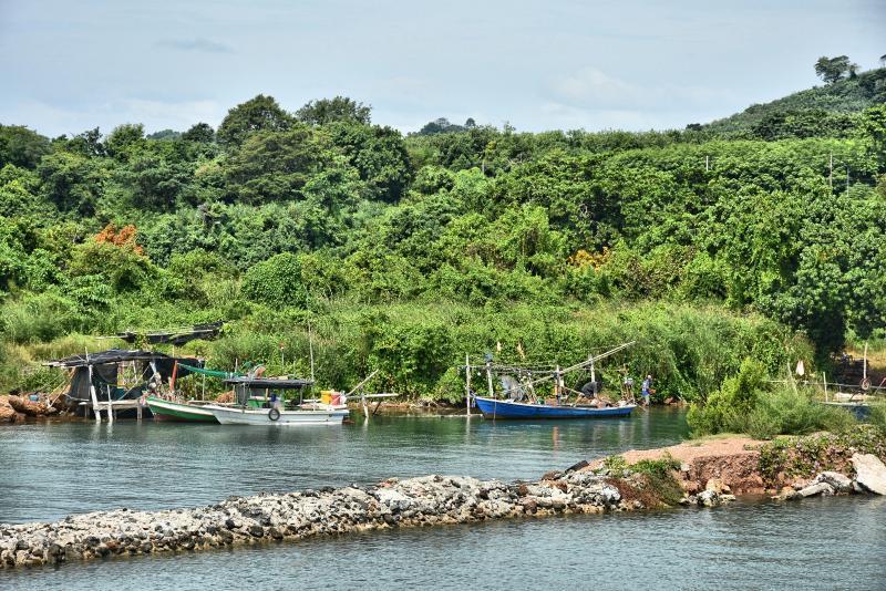 post-237730-0-85322600-1449202673_thumb.